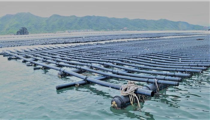 Hệ thống vật liệu bền vững, bảo vệ môi trường được áp dụng tại nhiều vùng nuôi trồng hải sản tập trung huyện Vân Đồn.