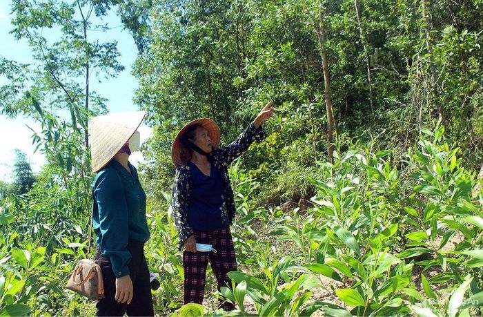 Hiện tại trên địa bàn tỉnh Nghệ An có 141 điểm, khu vực bị sạt lở núi, ảnh hưởng đến 5.914 nhân khẩu. Ảnh: Phú Hương