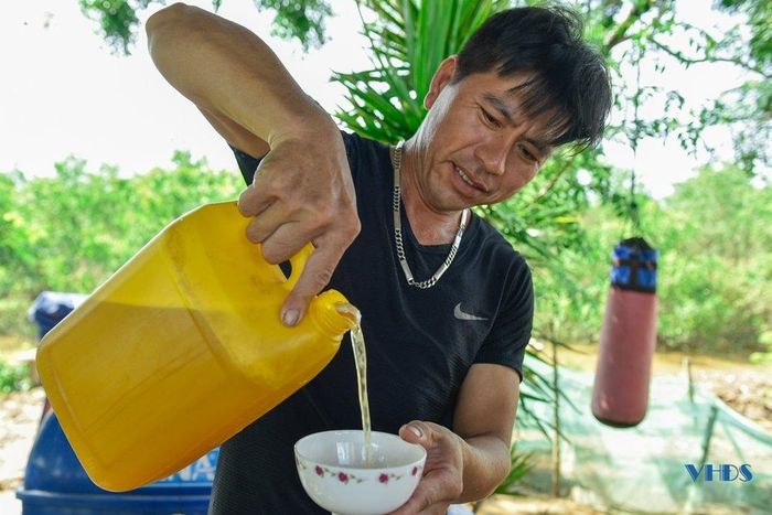 Nuôi ong ven rừng ngập mặn luôn cho chất lượng mật tự nhiên, mật ong không những sạch, thơm mà còn rất bổ dưỡng, tốt cho sức khỏe.
