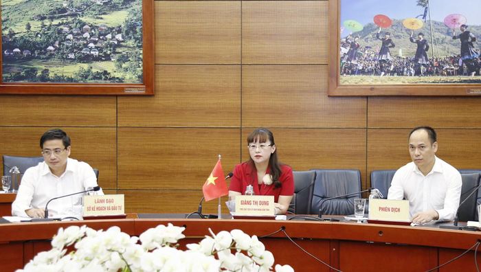 Đồng chí Giàng Thị Dung, Phó Chủ tịch UBND tỉnh phát biểu tại buổi làm việc.