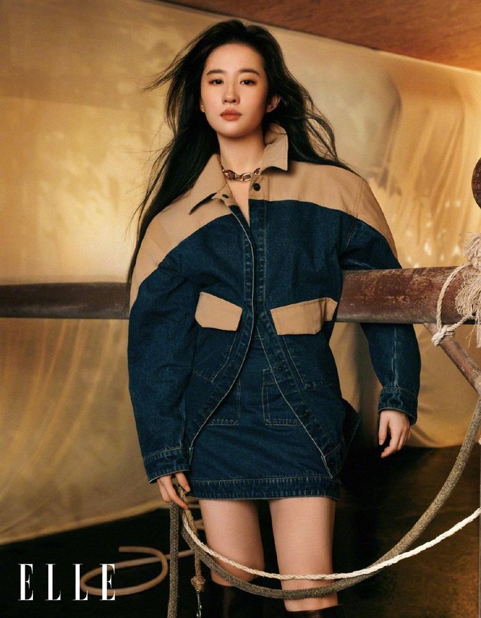 Do đó, Lưu Diệc Phi cho rằng có thanh minh cả đời cô cũng không thể giải thích rõ hay làm thay đổi định kiến của công chúng. "Tôi không muốn lao mình như thiêu thân về phía tin đồn. Tôi tin hành động luôn có sức mạnh hơn lời nói, thanh giả tự thanh. Tôi không lo lắng bản thân bị hiểu sai. Tôi muốn dành thời gian thanh minh tin đồn để làm những việc mình yêu thích", Lưu Diệc Phi chia sẻ.