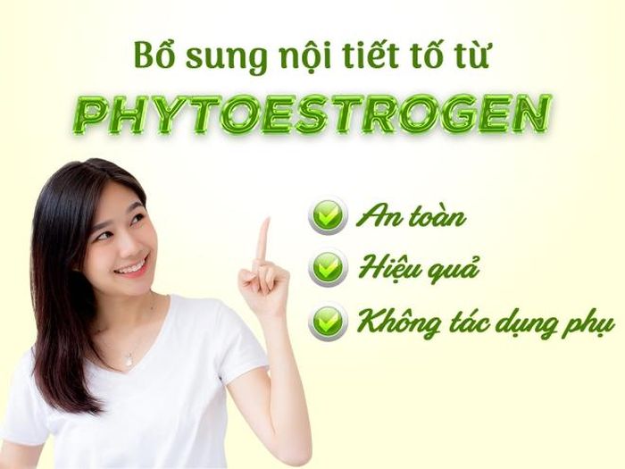 Bổ sung nội tiết tố từ phytoestrogen an toàn, hiệu quả, không tác dụng phụ