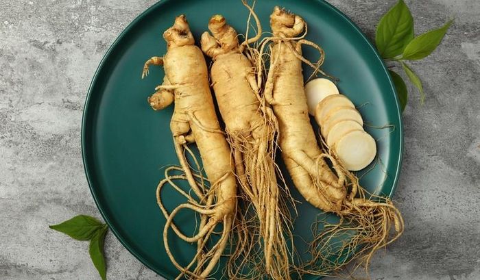 Người xưa tin rằng nhân sâm có các chức năng tăng cường sinh lực cho cả ngày dài.