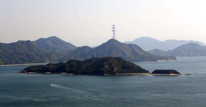 Đảo Thỏ ngoài khơi Nhật Bản.