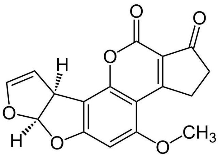 Thực tế, thực phẩm bị mốc có thể chứa aflatoxin. Cắt bỏ một phần không thể loại bỏ hoàn toàn độc tố. Năm 1993, Viện Nghiên cứu Ung thư của Tổ chức Y tế Thế giới (WHO) phân loại aflatoxin là chất gây ung thư tự nhiên, có độc tính cao, cực kỳ nguy hiểm. Chỉ cần tiêu thụ 1mg aflatoxin có thể làm tăng nguy cơ ung thư, trường hợp tiêu thụ hơn 20mg có thể dẫn tới tử vong. Ảnh minh họa.