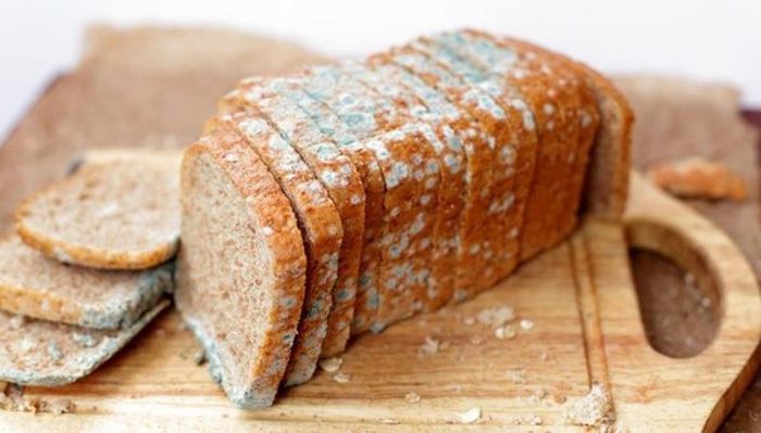 Ngoài việc chỉ ra mối nguy sức khỏe của việc ăn thực phẩm mốc, bác sĩ còn nhấn mạnh dấu hiệu gan tổn thương, cần đi khám càng sớm càng tốt. Các triệu chứng bao gồm đi ngoài phân đen hoặc vàng, phân không thành khuôn, phân thuôn hình bút chì; thường xuyên mất ngủ, mơ gặp ác mộng; thi thoảng xuất hiện những cơn co thắt ở bắp chân, Ảnh minh họa.