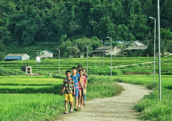 Các em nhỏ dân tộc Lào ở huyện Tam Đường dạo chơi trên con đường chạy xuyên cánh đồng.