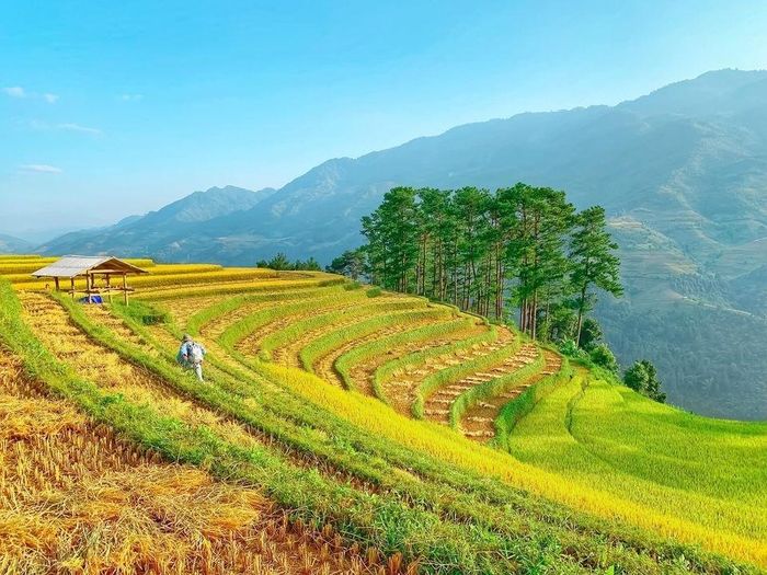  Ảnh: Cao Tâm Nguyễn. 