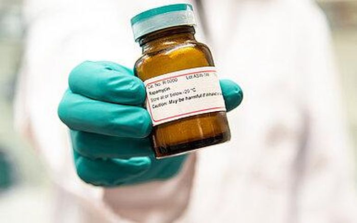 Rapamycin, được biết đến với những tác động tích cực đến tuổi thọ và sức khỏe.
