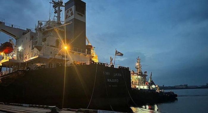 Theo ông, trong số 80 tàu chở ngũ cốc rời Ukraine, chỉ có 2 tàu đến các nước đang phát triển.