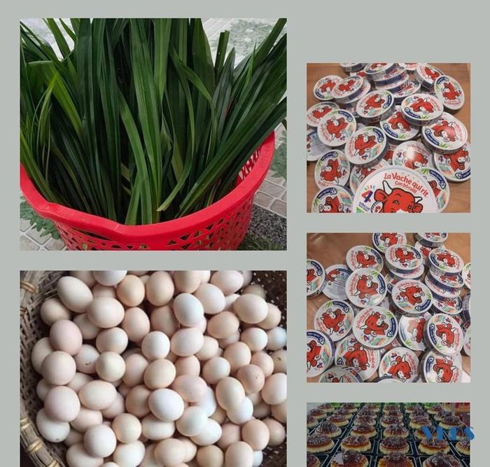 Nguyên liệu bột thạch rau câu, lòng đỏ trứng gà, sữa đặc sữa tươi, phô mai, đường tinh luyện, cà phê, lá dứa, thanh long, matcha..