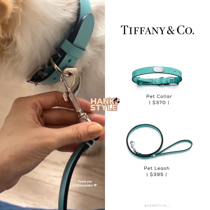  Ngay cả cún cưng của Rosé cũng luôn được hãng quan tâm. Chú cún này được tặng nhiều món phụ kiện như bát ăn cơm hàng hiệu, dây xích... Tất cả đều có giá không hề rẻ, từ chục triệu đồng trở lên. Ảnh: Hank Style. 