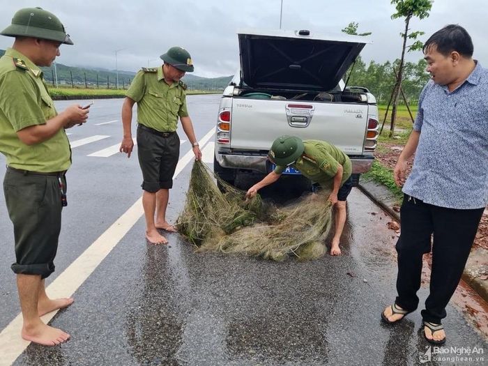 Hạt kiểm lâm Diễn Châu thu giữ 20 kg lưới trùm bẫy chim trời. Ảnh: Hạt Kiểm lâm Diễn Châu