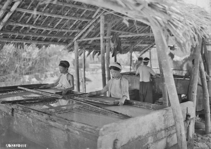 Nguyên liệu được giã nhuyễn, ngâm nước lấy bột bỏ bã