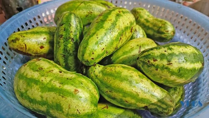 Những quả dưa hấu non được sử dụng muối chua.