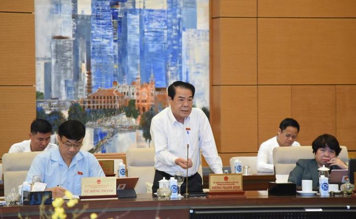 Trưởng Ban Dân nguyện Dương Thanh Bình phát biểu. Ảnh: Quang Khánh