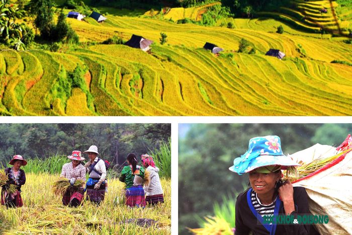 Mùa thu cũng là mùa vàng của Tả Lèng, cảnh sắc, mây trời cùng hòa quyện vào nhau tạo nên một Tả Lèng quyến rũ.