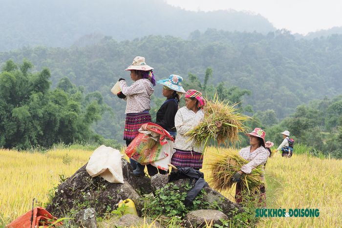 Không chỉ quyến rũ du khách bằng vẻ đẹp mộc mạc của núi rừng, vẻ e ấp của những sơn nữ, mà nơi đây còn hấp dẫn bởi những tấm lòng ấm áp nghĩa tình của người dân Lai Châu.
