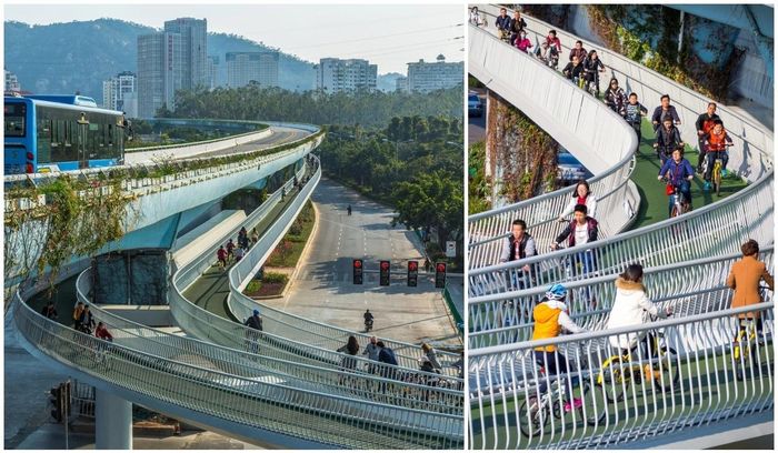  Người dân di chuyển bằng xe đạp trên làn đường riêng tại Phúc Kiến, Trung Quốc. Ảnh: Insider. 