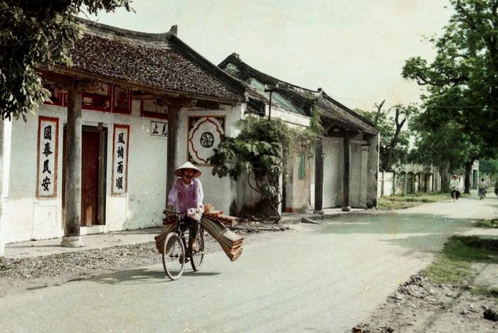 Phố Hiến năm 1996 với một phụ nữ đang chở chiếu đi bán