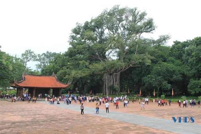 Qua cầu Bạch là Ngọ môn (Nghi môn). Ngay phía Tây Nam Ngọ môn là cây đa thị - một trong những cây di sản vô cùng đặc biệt ở Lam Kinh.