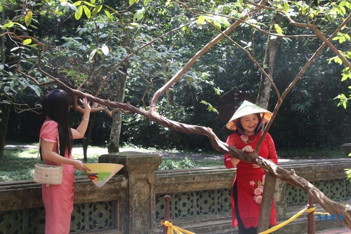 Đặc biệt trong khu vực lăng mộ Vua Lê Thái tổ còn có “cây ổi cười”, chỉ cần “gãi” nhẹ vào thân cây thì cành lá rung rinh khiến du khách vô cùng thích thú.