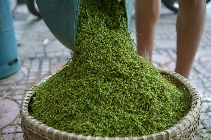 Nhắc tới cốm mùa thu ai cũng nhớ ngay đến cốm làng Vòng. Nhưng ở Hà thành còn có một ngôi làng khác cũng nổi tiếng với nghề cốm gia truyền. Đó là cốm Mễ Trì (Nam Từ Liêm, Hà Nội).
