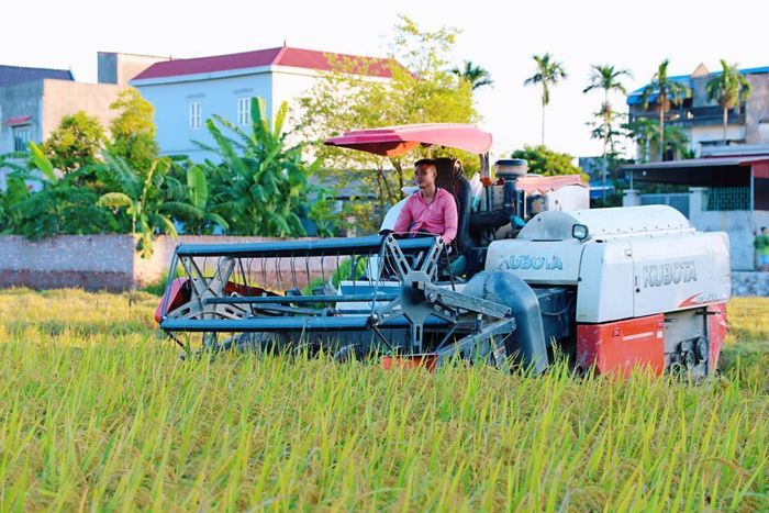 Hiện nay, với sự hỗ trợ của khoa học, kỹ thuật, những chiếc máy gặt “2 trong 1” đã xuất hiện. Thay vì phải cắt lúa bằng tay, sau đó dùng một chiếc máy phụt để tách lúa, chiếc máy gặt này đã giúp người nông dân gặt lúa trong “chớp mắt” và ra sản phẩm. Chính điều này đã giúp người nông dân tiết kiệm phần lớn thời gian và sức lao động quý báu.