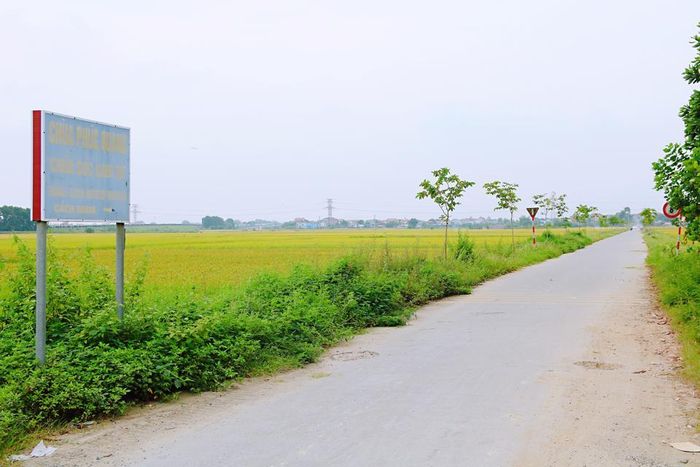Con đường dẫn lối vào thôn Xuân Lễ, xã Tân Dân (huyện Sóc Sơn)