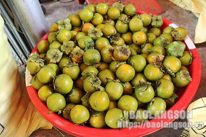 Hiện nay, giá bán hồng dao động từ 18.000 đồng đến 20.000 đồng/kg, cao hơn 6.000 đồng đến 8.000 đồng/kg so với vụ hồng năm 2021. Từ hồng, nhiều hộ có thu nhập trên 100 triệu đồng/năm