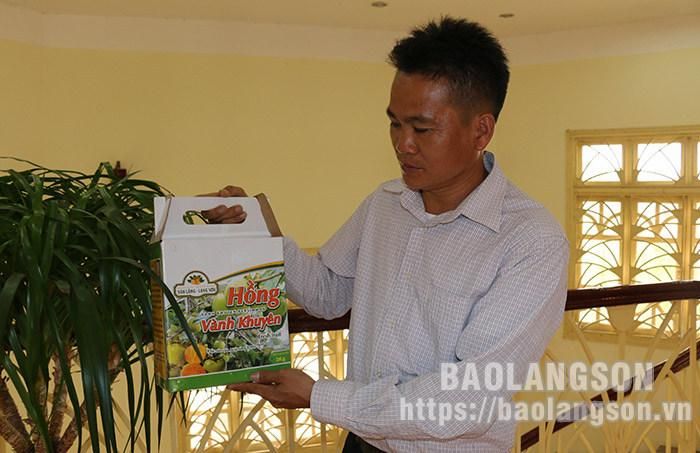 Khách hàng có nhu cầu mua hồng vành khuyên để làm quà biếu sẽ được người dân, hợp tác xã trên địa bàn huyện đóng hộp