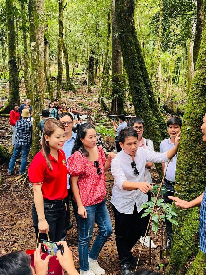 Trọng Tấn cùng vợ lắng nghe những chia sẻ về việc gieo trồng loài sâm quý từ các chuyên gia