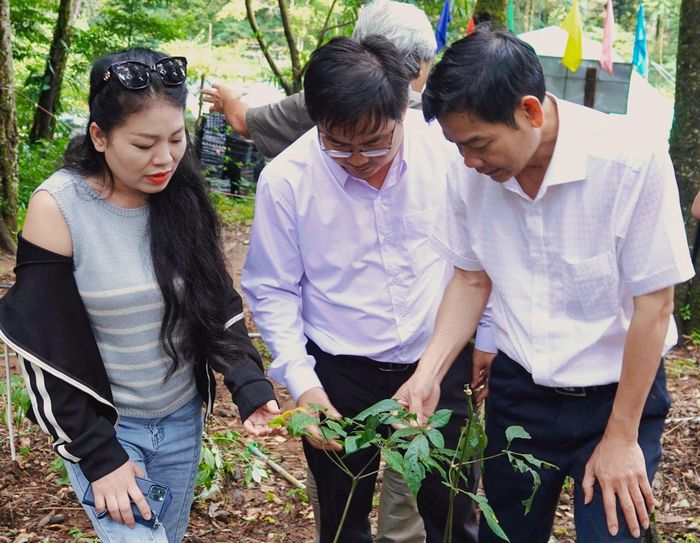 Anh Thơ lắng nghe những chia sẻ về việc trồng Sâm trên đỉnh núi Ngọc Linh