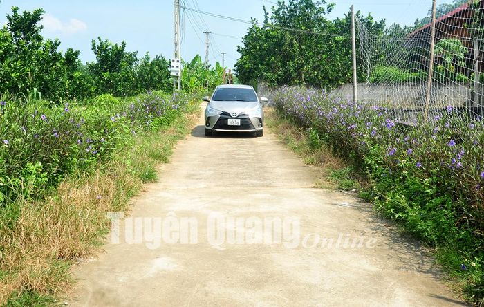 Đường giao thông vào khu sản xuất ở Đồng Danh được bê tông hóa, ô tô đi lại thuận tiện.
