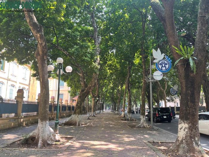 Không biết từ bao giờ con đường Phan Đình Phùng đã trở thành một phần biểu tượng của mùa thu Hà Nội. Con đường ngập lá với hai bên là những hàng sấu già thẳng tắp, mùa hè rợp bóng xanh mát, mùa thu lại là những con đường ngập lá vàng bay vô cùng lãng mạn.