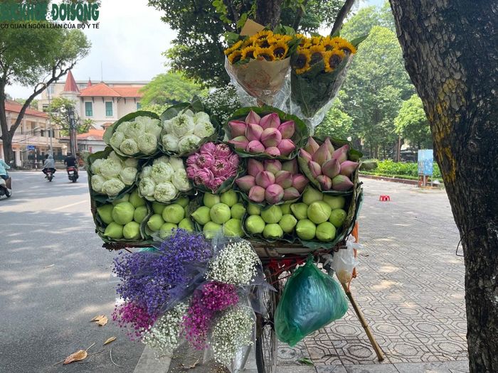 Những gánh hàng rong chở cả “trời thu Hà Nội”, dễ dàng bắt gặp những gánh hàng rong khắp các phố phường của thủ đô, đó là những gánh hàng hoa, chở những loại hoa đặc trưng của mùa thu Hà Nội: cúc họa mi, hoa cúc vàng, cúc thạch thảo, hoa ly…
