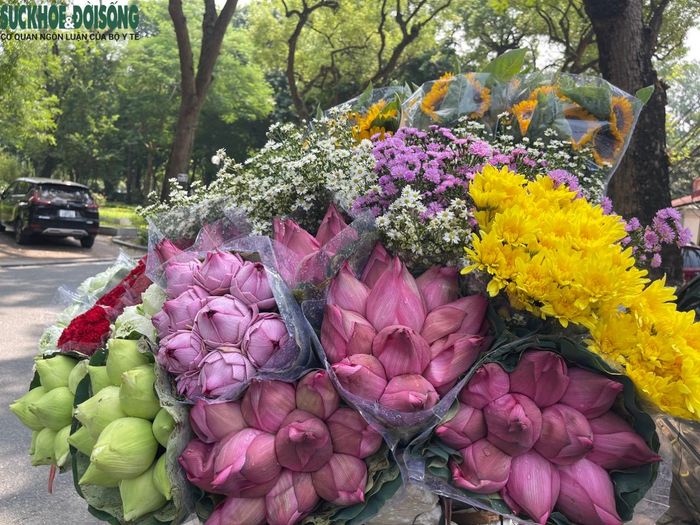Trời thu Hà Nội bình yên với những gánh hàng rong chở cả "trời thu".