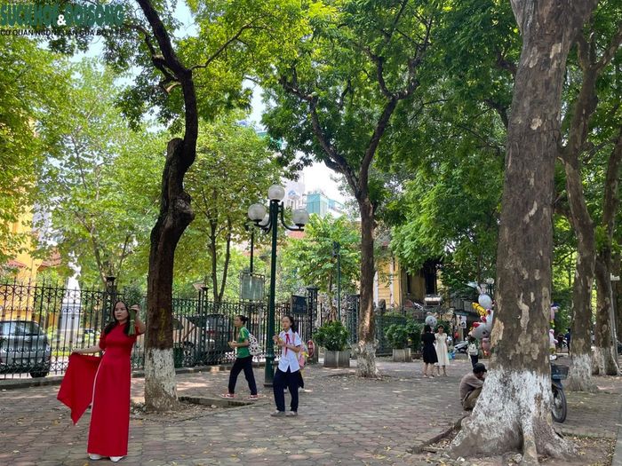 Lá vàng, những gánh hàng rong, những tia năng nắng nhẹ, những cô thiếu nữ trong tà áo dài ,…tất cả những điều đó khiến Phan Đình Phùng trở thành con đường lãng mạn bậc nhất thủ đô, một điểm đến hấp dẫn để cảm nhận về thu Hà Nội.
