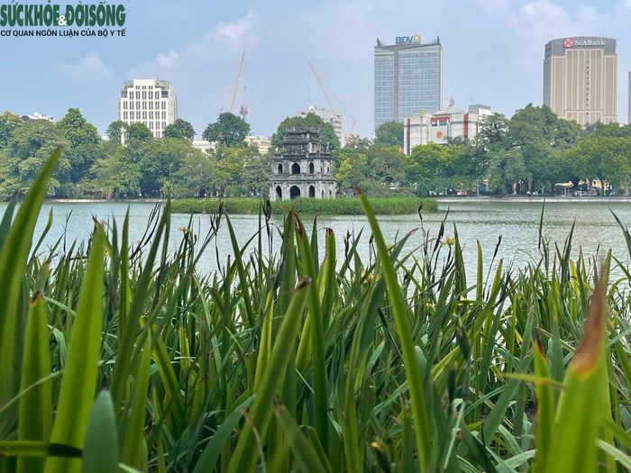 Những ngày đầu thu, dù là sáng sớm hay lúc hoàng hôn thì Hồ Gươm đều mang một vẻ đẹp rất thu, rất Hà Nội.