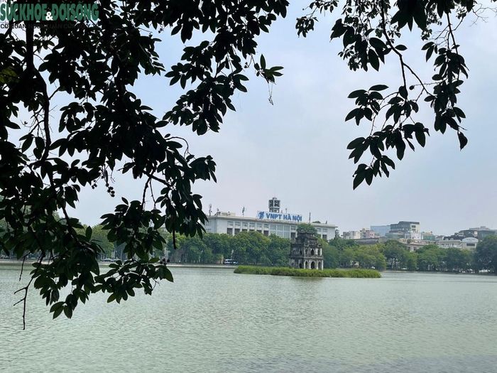 Những hàng cây lộc vừng đang đổi màu lá, những hàng liễu rủ mờ ảo trong sương sớm bên mặt Hồ Gươm yên ả. Vào thu những chùm hoa lộc vừng nở đỏ rực, rơi rụng khắp ven đường, mặt hồ.