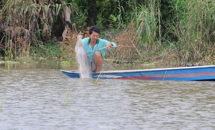 Không sôi động như ở đầu nguồn An Giang hay Đồng Tháp, người dân mưu sinh mùa nước nổi nơi hạ nguồn Hậu Giang có phần "sống chậm" hơn.