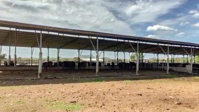 Sau 5 năm chấp thuận chủ trương đầu tư, dự án nuôi bò công nghệ cao vẫn là bãi đất trống. Ảnh: A. Bình.