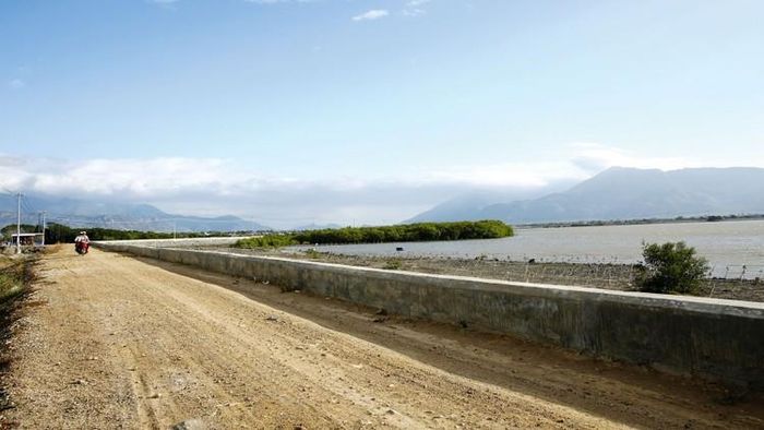 Bình Thuận thu hồi dự án tại xã Sông Bình, huyện Bắc Bình của CTCP Sữa Thông Thuận