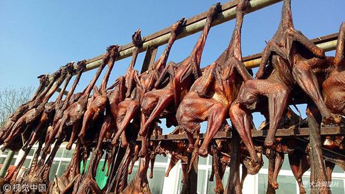 Quá trình này yêu cầu tốc độ cực nhanh, đảm bảo những chú gà vẫn thoi thóp sống, giúp gia vị thẩm thấu vào từng thớ thịt. Nếu như gà chết, món ăn coi như mất đi “tinh hoa” ẩm thực.