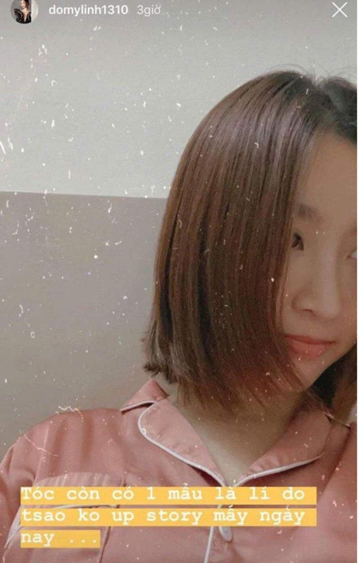 Những lần làm tóc chấn động mạng xã hội của Mỹ Linh.