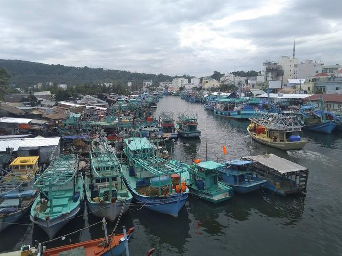 Tàu thuyền trên địa bàn TP Phú Quốc vào nơi neo đậu tránh trú bão. Ảnh: Hữu Tuấn
