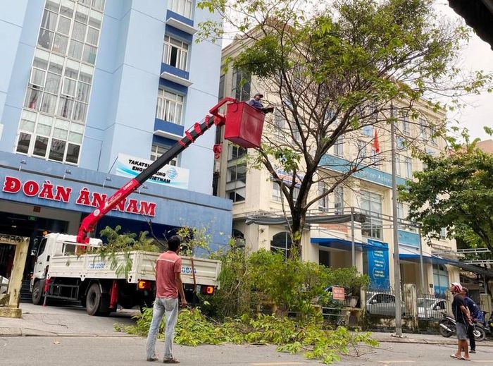 Cơ sở kinh doanh tại TP Huế đang khẩn trương cho tỉa cây trong sáng 27/9.