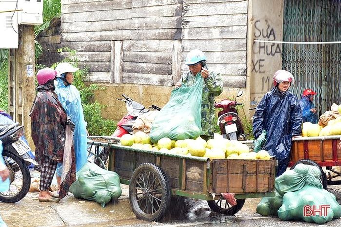 Cùng với đó, giá bưởi có xu hướng giảm.