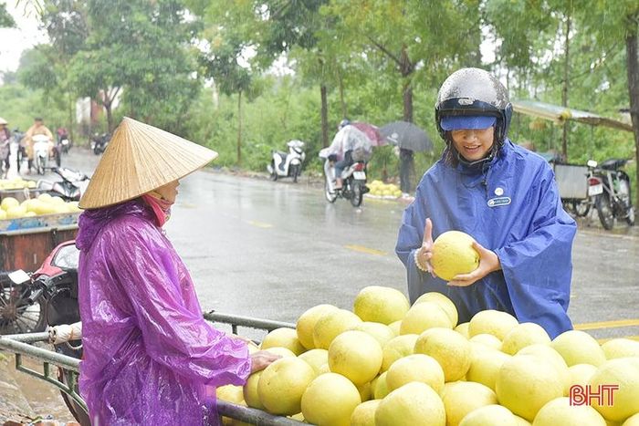 Chị Phạm Thị Hải Anh - người dân thị trấn Hương Khê cho biết: “Trong mưa gió, tôi thấy người dân rất vất vả để thu hoạch và bán bưởi. Bởi vậy, chúng tôi tranh thủ mua ủng hộ bà con, hi vọng sẽ giúp bà con một phần nhỏ vượt qua khó khăn”.