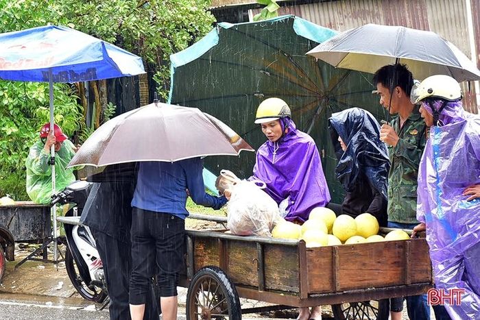 Theo dự báo, đến chiều ngày 29/9, lượng mưa trên địa bàn huyện Hương Khê giảm mạnh, có nơi hửng nắng. Thời tiết sẽ thuận lợi hơn để người dân thu hoạch và tiêu thụ bưởi.